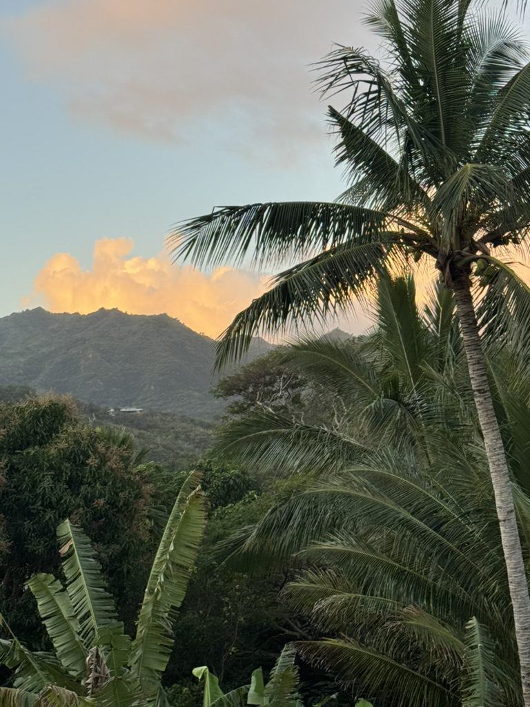 Palm trees with mountains and a colorful sky at sunset.