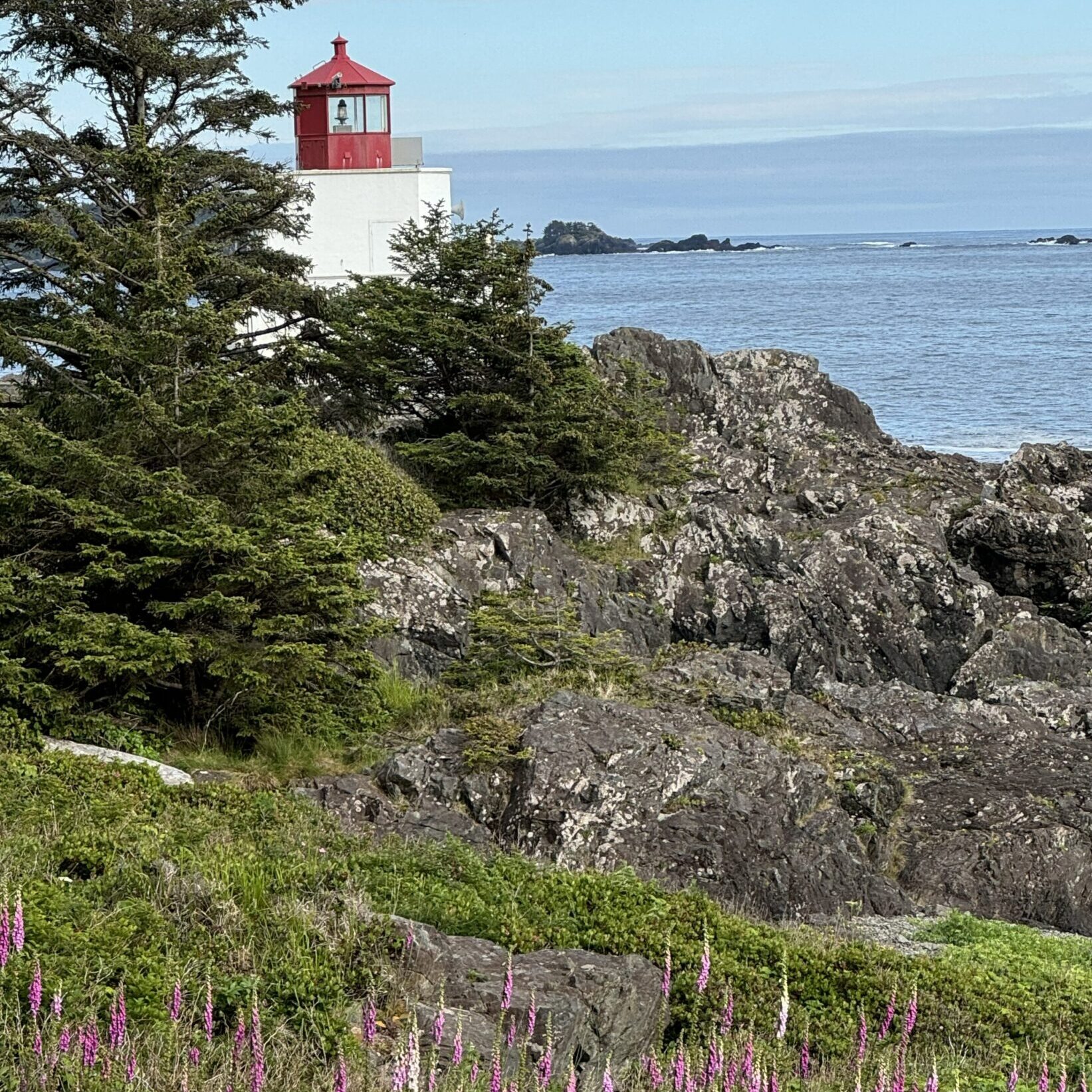 Rocky coastline with lighthouse and evergreen trees by the sea.